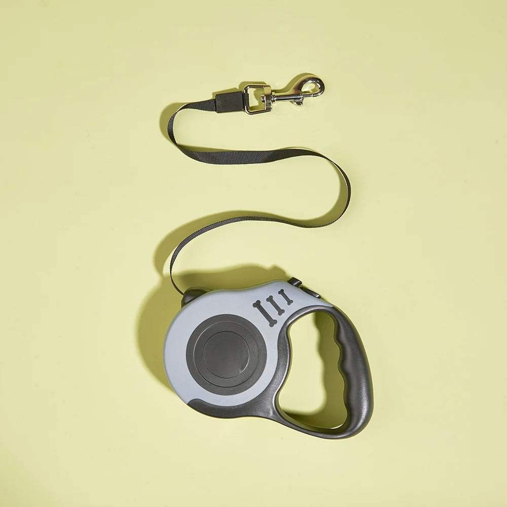 Best Dog Training Accessories for Large Dogs: Essential Tools for 2026