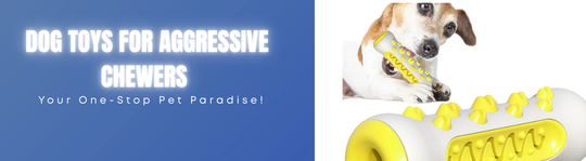 Indestructible dog toys for aggressive chewers displayed on a table, including rubber chew toys, balls, and rope toys for large power-chewing dogs