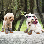 Kann Memor Strauss flushastespee Connectivity Widrtloran flushrtlas...