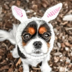 Easter Pet Costumes - Bunny Hats for Cats Dogs