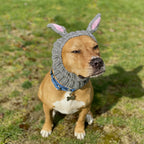 Easter Pet Costumes - Bunny Hats for Cats Dogs