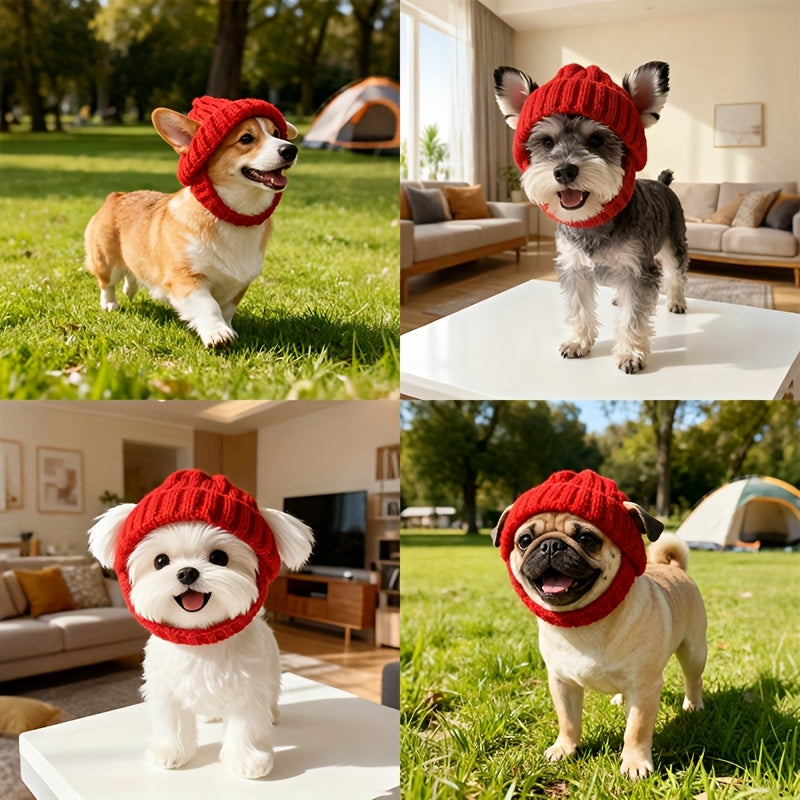 Dog Winter Hat - Knitted Red with Maltese Dog Ear Hood