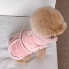 Dog Winter Jacket - Cozy Bear Small Dog Coat