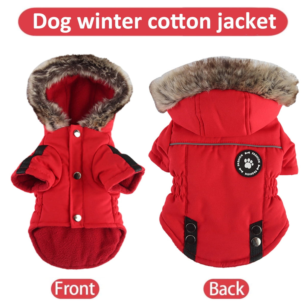 Dog Winter Coat - Warm Windproof Small Dog Jacket