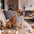 Easter Dog Bandana - Adjustable Vibrant Egg Design