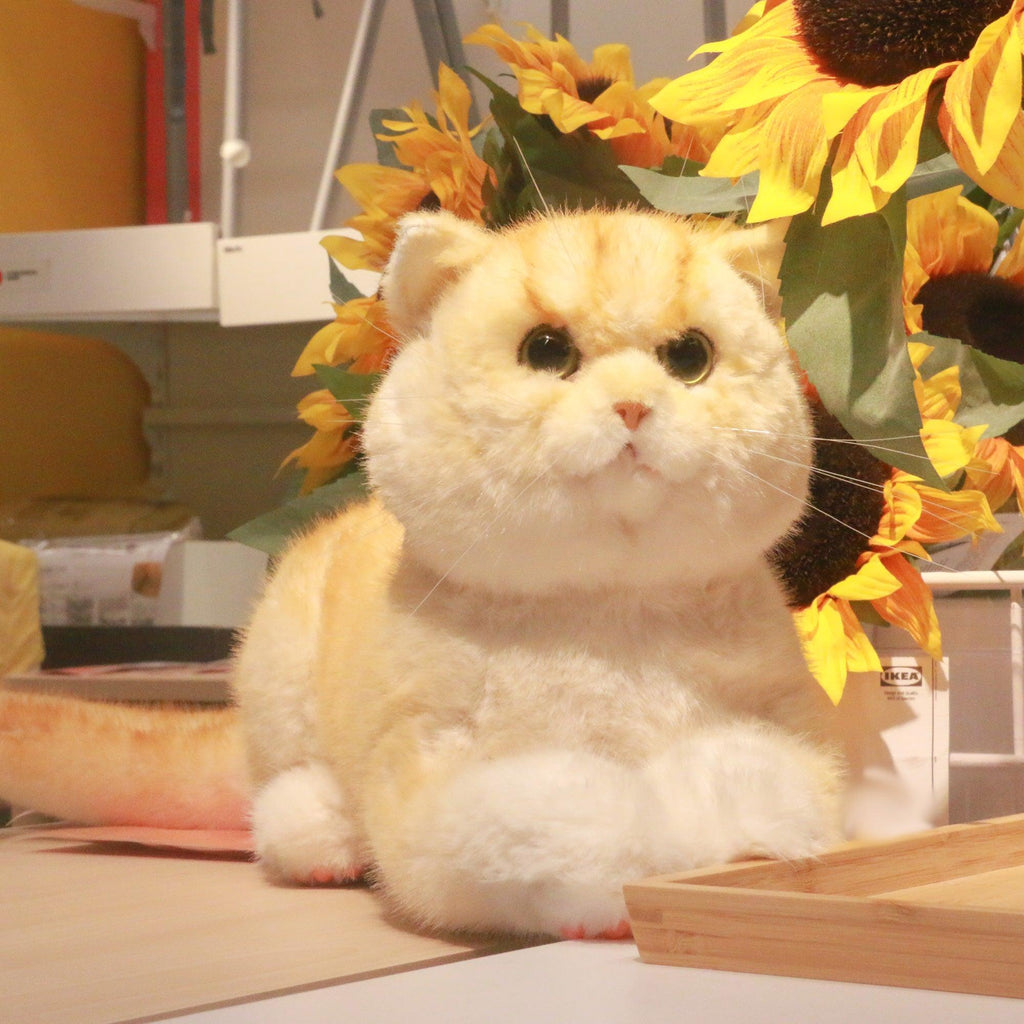 Golden Brtitish Short Hair Cat Plush – Weighted Emotional Support Toy Gift