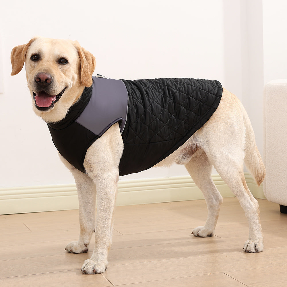 Dog Jacket - Warm Coat for Small Medium Breeds