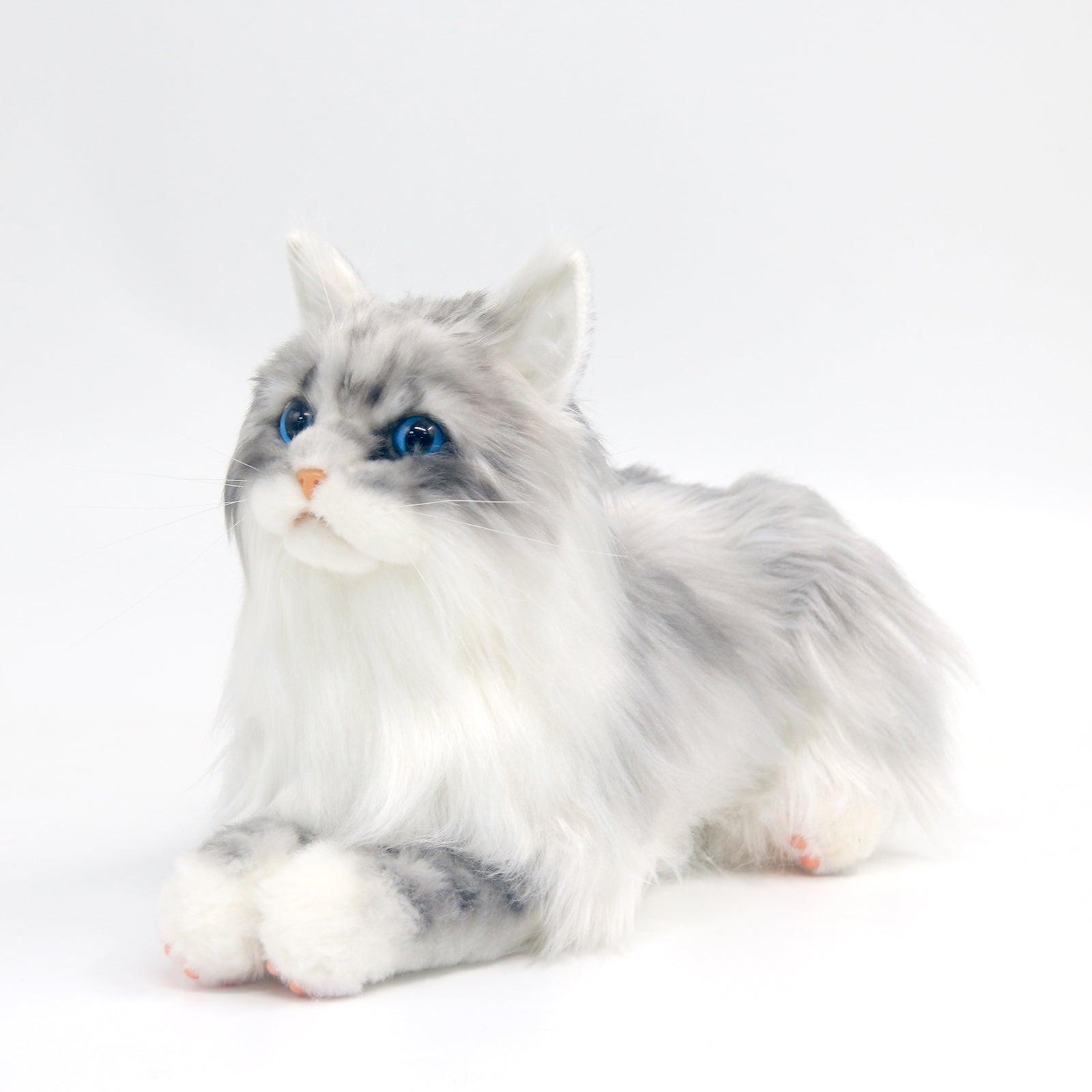 Plush Grey Hair Cat with Blue Eyes Order to Make