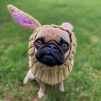 Easter Pet Costumes - Bunny Hats for Cats Dogs