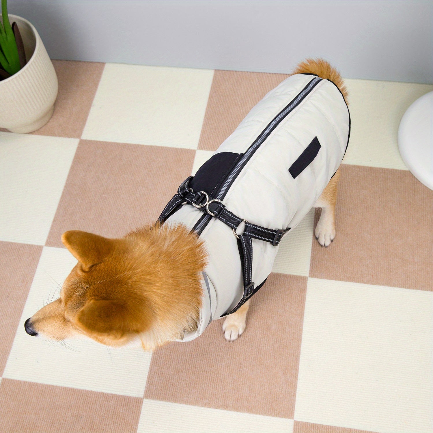 Dog Winter Jacket - Cozy Large Dog Cold Weather Coat