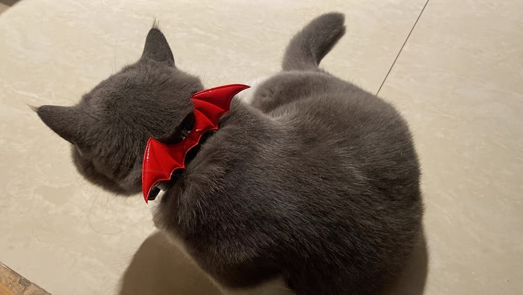 Halloween Pet Collar - Handcrafted Leather with Bell