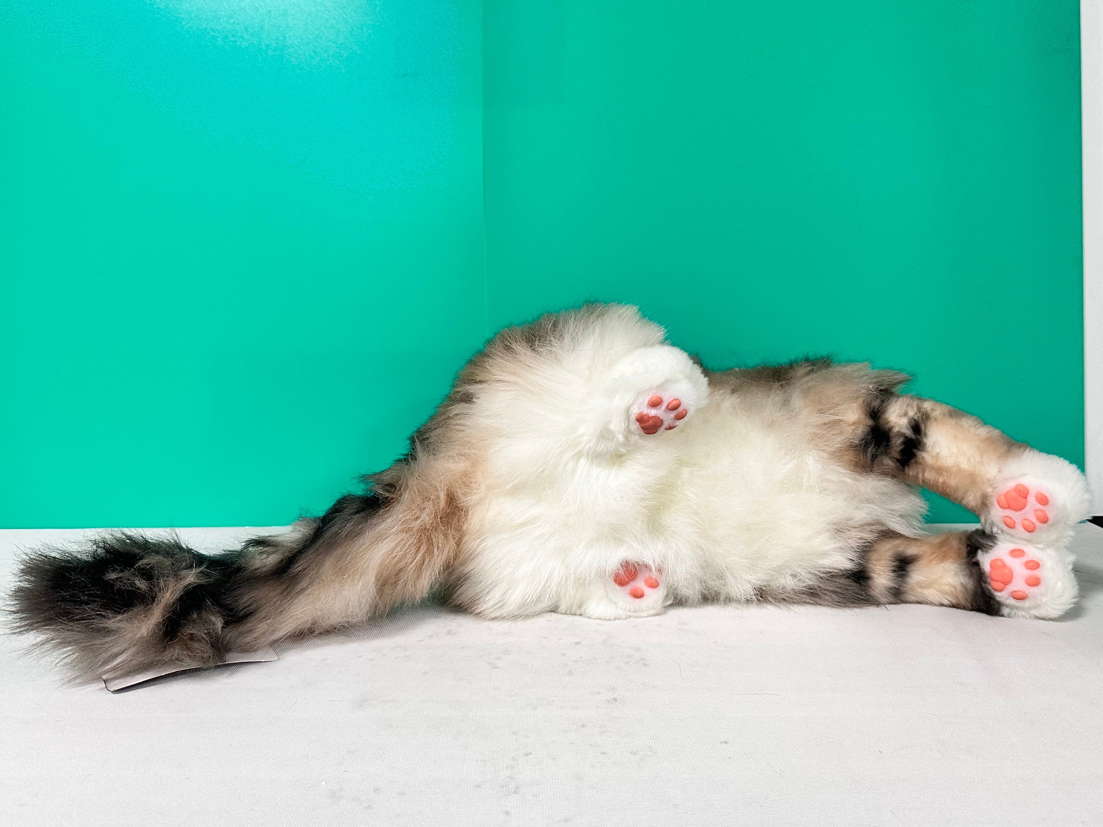 Plush Norwegian Forest Cat Order to Make