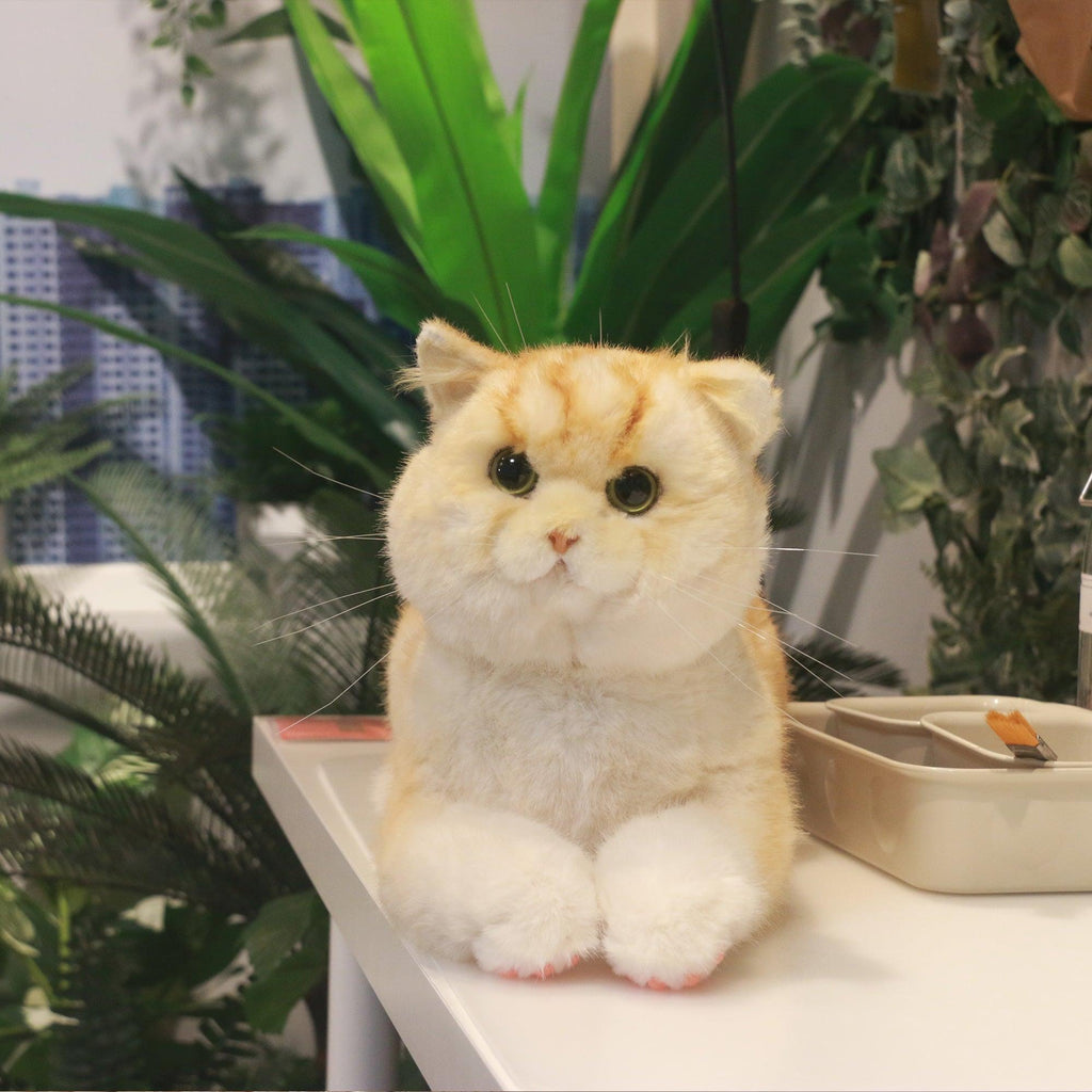 Golden Brtitish Short Hair Cat Plush – Weighted Emotional Support Toy Gift