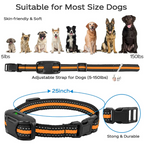 Dog Training Collar – Waterproof with Remote Shock & Vibration