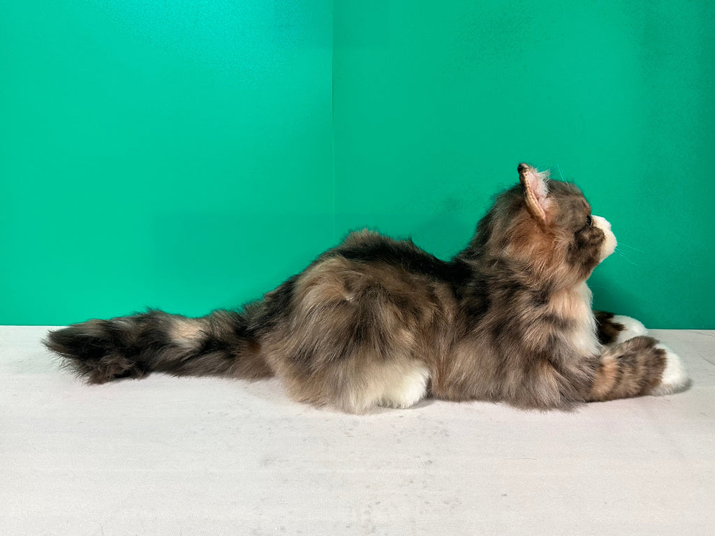 Plush Norwegian Forest Cat Order to Make