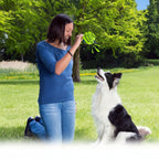 Interactive Dog Toys - IQ Training Puzzle