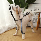 Dog Raincoat - Waterproof Dog Jacket Dog Rain Jacket