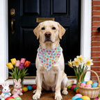 Easter Dog Bandana - Adjustable Vibrant Egg Design