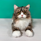 Plush Norwegian Forest Cat Order to Make