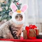 Easter Pet Costume - Pet Easter Outfit Small Dog Costume