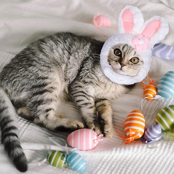 Easter Pet Costume - Pet Easter Outfit Small Dog Costume