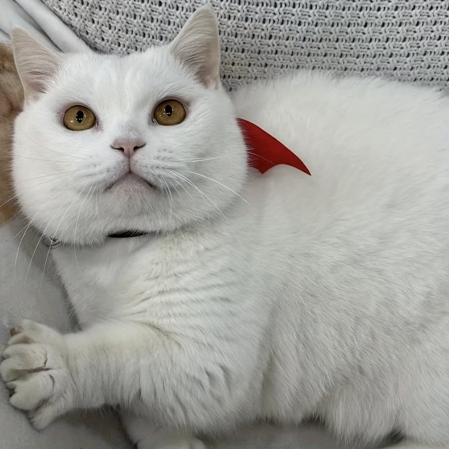 Halloween Pet Collar - Handcrafted Leather with Bell