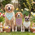 Easter Dog Bandanas - Bulk 50 - Costumes & Photo Props