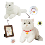 Basic Custom Cat Plush – Personalized Pet Unique Gift Idea