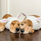 Easter Pet Costumes - Bunny Hats for Cats Dogs