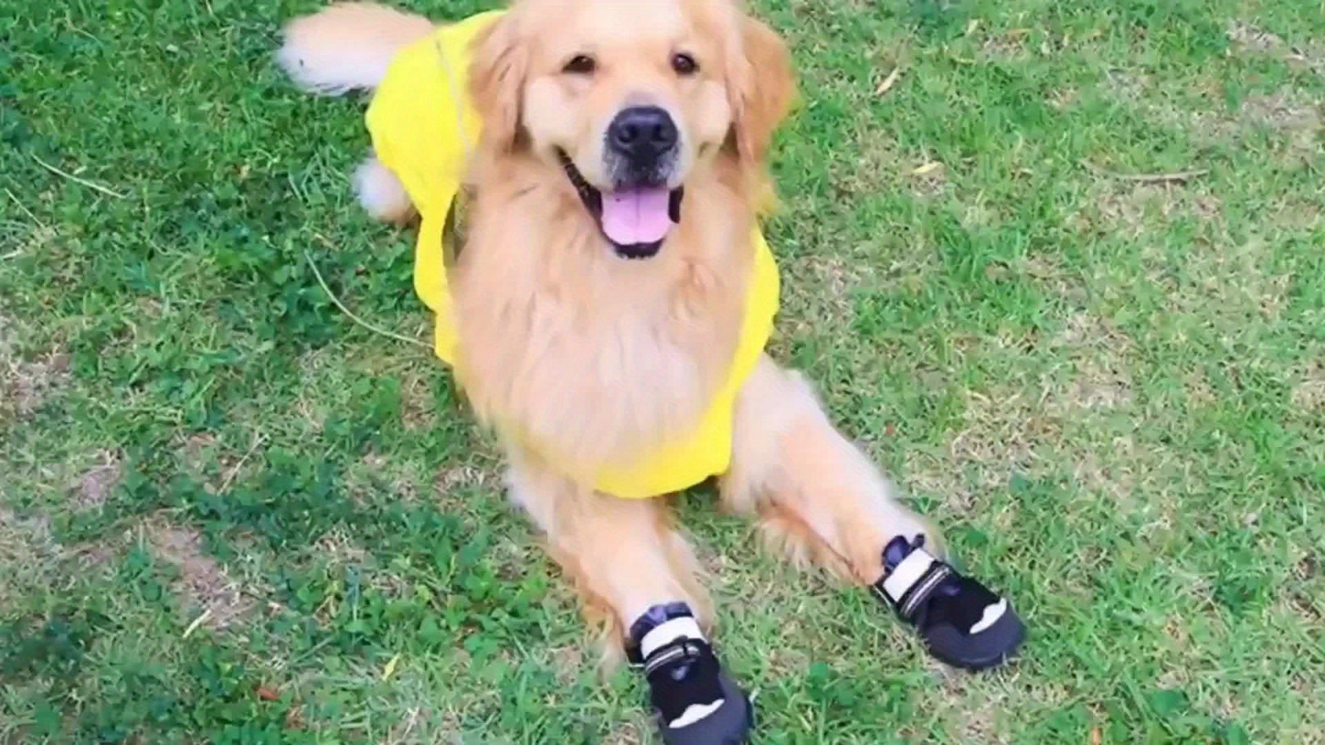 Dog Boots - Non Slip Rainproof Winter Shoes