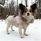 Dog Winter Jacket - Insulated Windproof Small XL