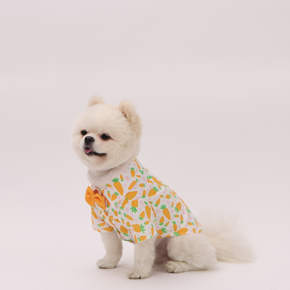 Easter Pet Shirt - Carrot Print Dog & Cat