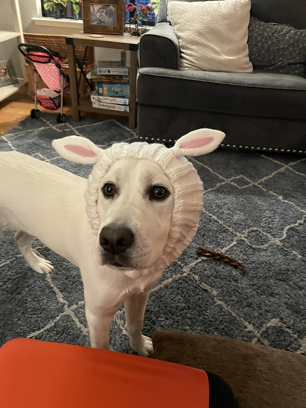 Easter Pet Costumes - Bunny Hats for Cats Dogs
