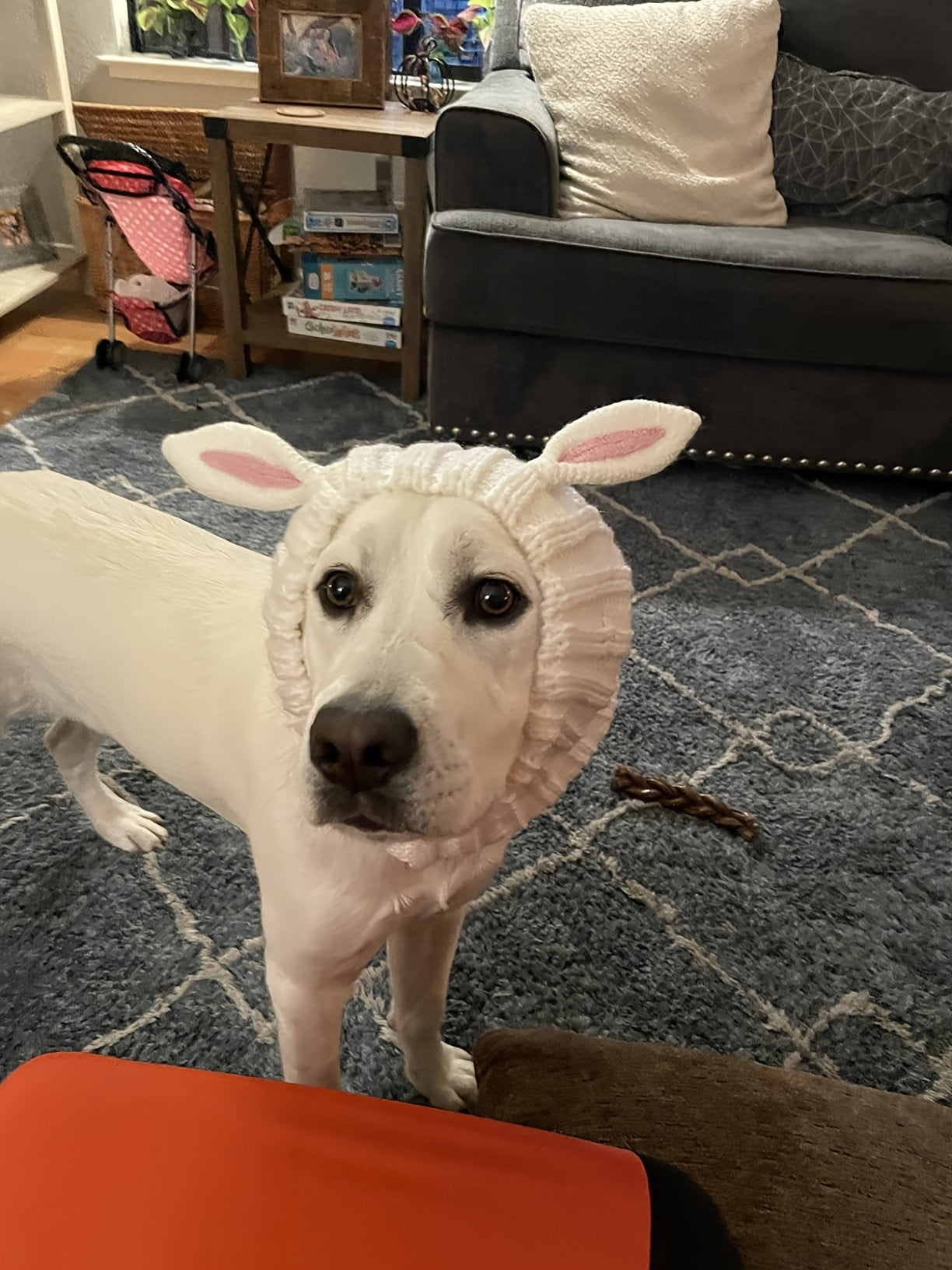 Easter Pet Costumes - Bunny Hats for Cats Dogs