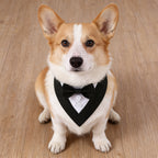 1pc Pets Scarf Festival Plaid Bow Tie Pet Collar Dog Cat Perfect for Valentine's Day Easter Independence Day Thanksgiving Day Christmas Wedding Decorations Pets Costume