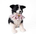 Pink JK Collar fits all for Cat Dog & Pet