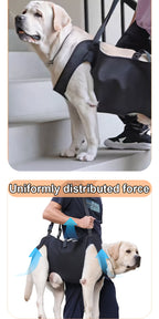 Dog Support Harness for Elderly Disabled Pets - Adjustable Comfort
