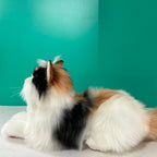 Plush Calico Cat Order to Make
