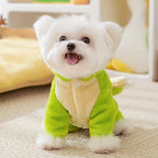 Cute Dog Costumes - Warm Dinosaur Jacket for Small Breeds