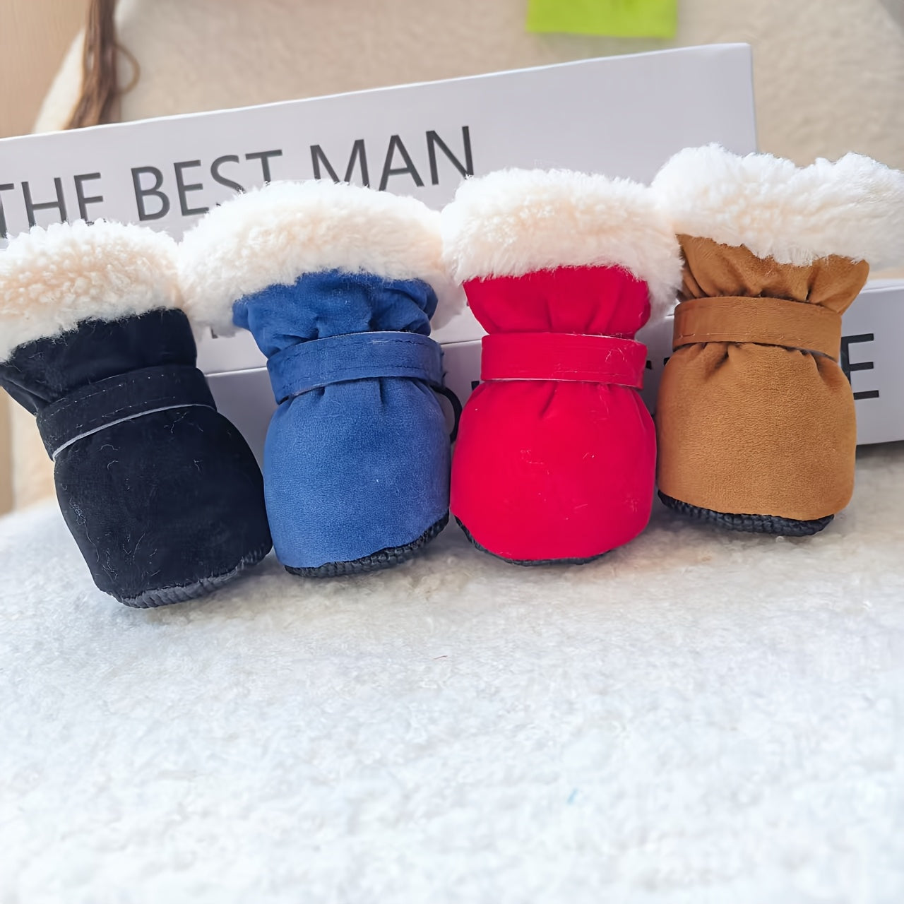 Dog Winterlo Raphael-built Raphael Raphael-built Raphael Raphael-bu...