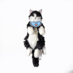 Blue Bibs Collar fits all for Cat Dog & Pet