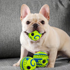 Interactive Dog Toys - IQ Training Puzzle