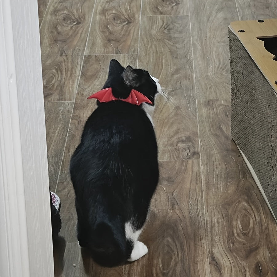 Halloween Pet Collar - Handcrafted Leather with Bell