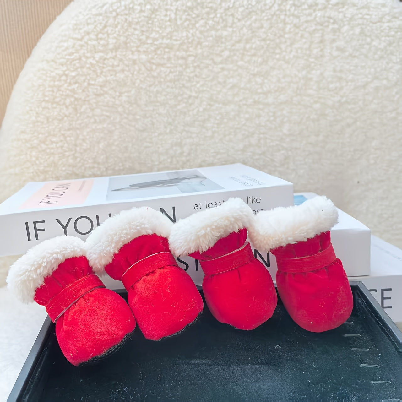 Dog Winterlo Raphael-built Raphael Raphael-built Raphael Raphael-bu...