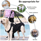 Dog Support Harness for Elderly Disabled Pets - Adjustable Comfort