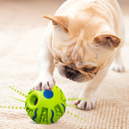 Interactive Dog Toys - IQ Training Puzzle