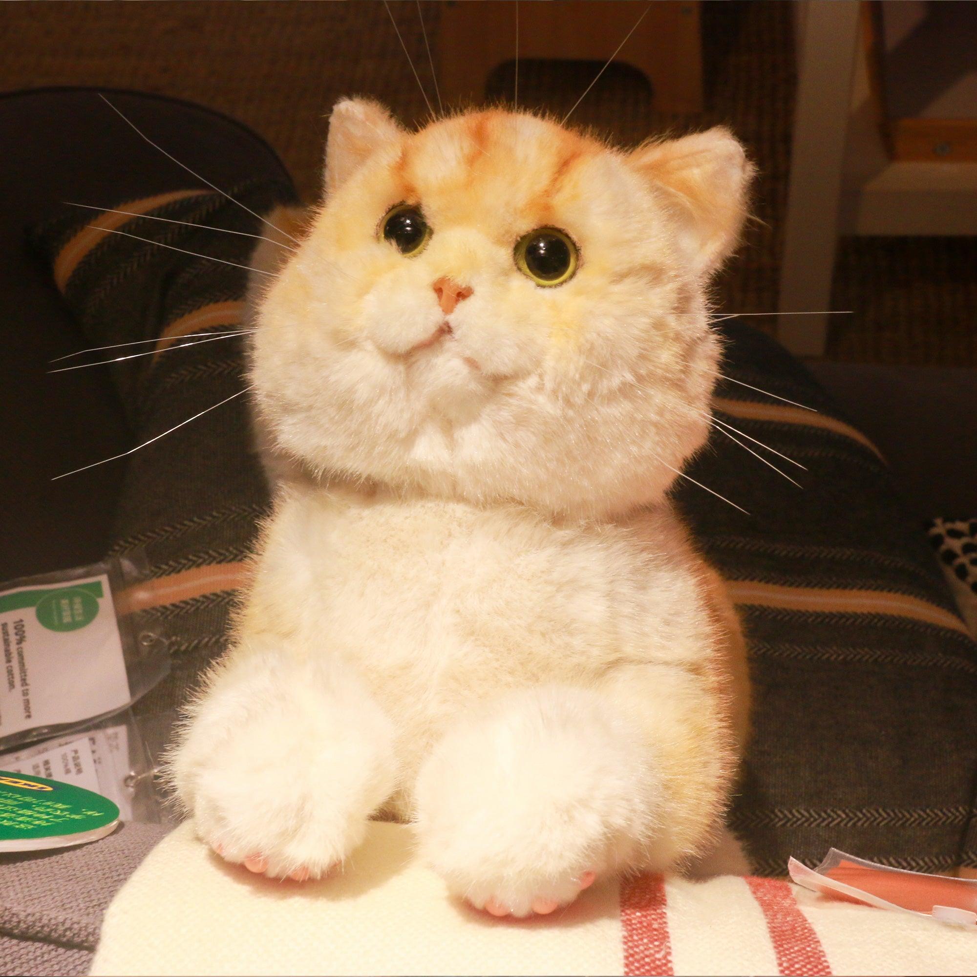 Golden Brtitish Short Hair Cat Plush – Weighted Emotional Support Toy Gift