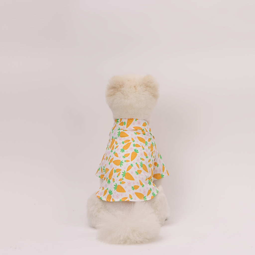 Easter Pet Shirt - Carrot Print Dog & Cat