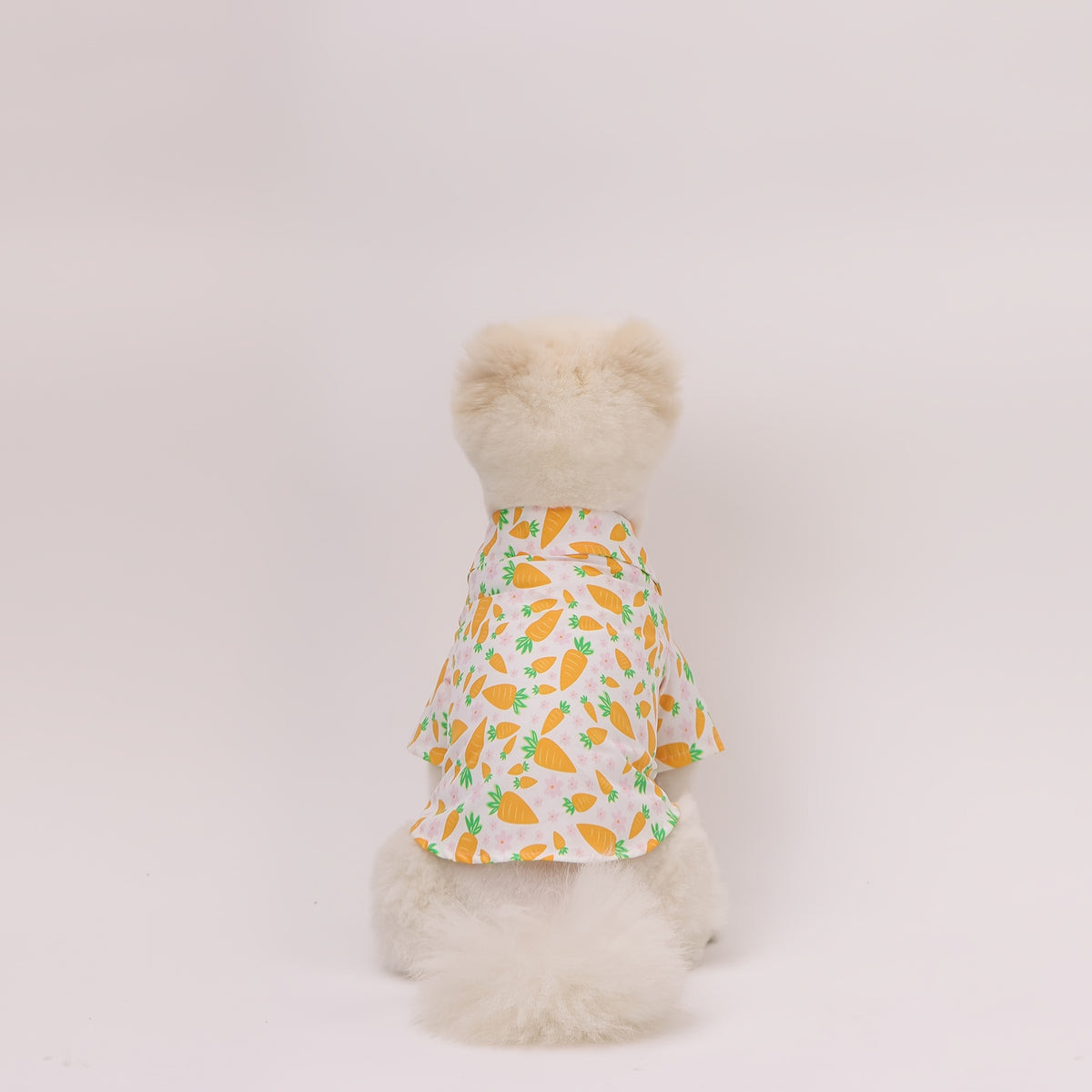 Easter Pet Shirt - Carrot Print Dog & Cat