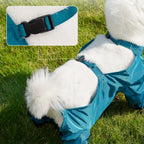 Dog Pants - Slippable Proof for Potty Training